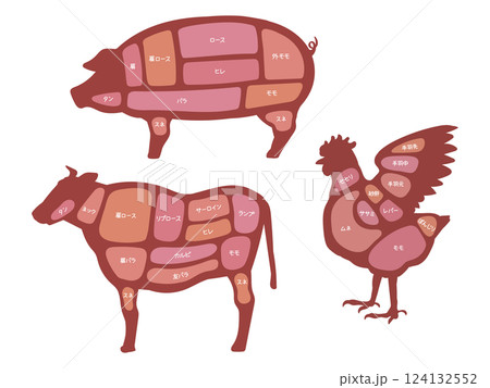 お肉の部位の図解イラスト 124132552