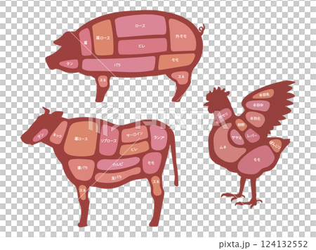 お肉の部位の図解イラスト 124132552