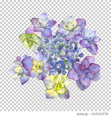 Watercolor of pink purple hydrangea flower. Hand-painted on a white background. Good for postcards, invitations, greeting cards. Watercolor of pink purple hydrangea flower. Hand-painted on a white background. Good for postcards, invitations, greeting cards. 124132770