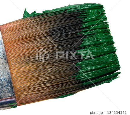 Brush with green oil paint on isolated background, bristles 124134351