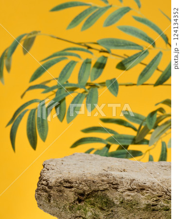 Stone and branch with green leaves on yellow background, place for advertising and product display 124134352
