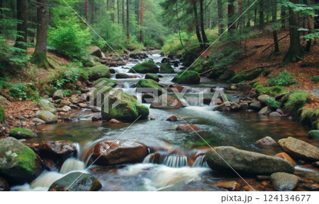 The ripples of time: the eternal path of water through rapids and rocks 124134677