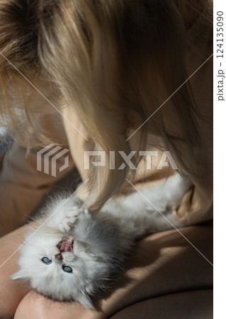 Adorable White Kitten Playfully Tugging at a Person's Hair in a Sunlit Room: A Heartwarming Moment Captured in a Cozy Setting 124135090