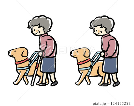 盲導犬を連れて散歩する女性の高齢者のイラストセット(白杖あり、なし) 盲導犬を連れて散歩する女性の高齢者のイラストセット(白杖あり、なし) 124135252