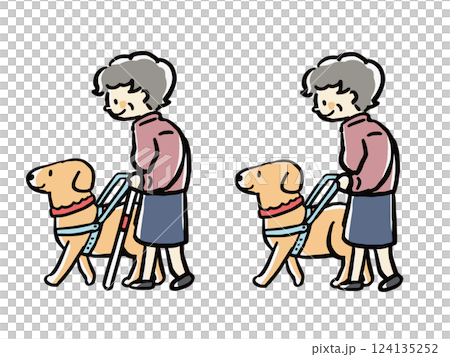 盲導犬を連れて散歩する女性の高齢者のイラストセット(白杖あり、なし) 盲導犬を連れて散歩する女性の高齢者のイラストセット(白杖あり、なし) 124135252