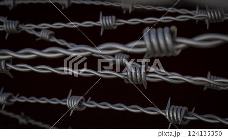 The Steel barbed wire for security or war concept 3d Rendering 124135350