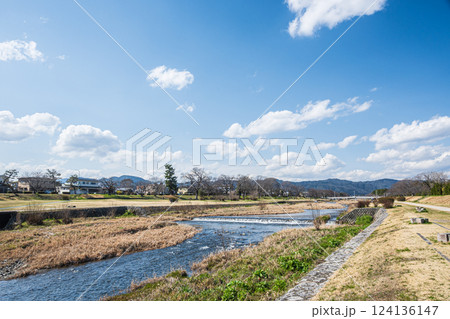 春の賀茂川風景 京都市 春の賀茂川風景 京都市 124136147