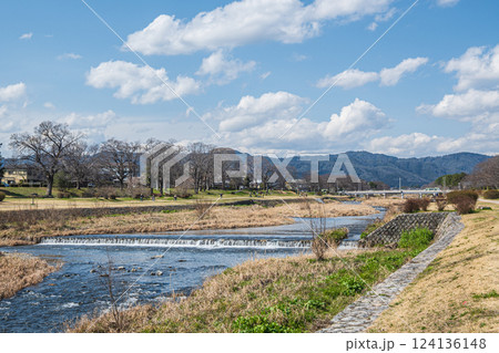 春の賀茂川風景　京都市 124136148