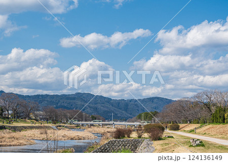 春の賀茂川風景　京都市 124136149