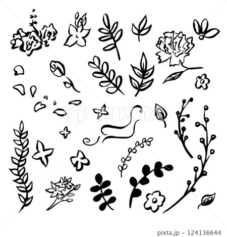 Botanical decoration doodle hand drawn. Outline drawing collection. Collection of drawings of branches, flowers, butterflies contours. Set for decorating postcards, posters. 124136644