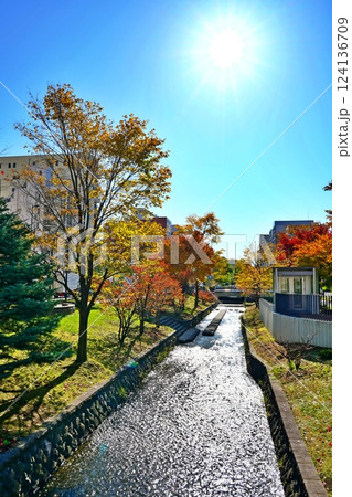秋の札幌市 創成川公園の紅葉 124136709
