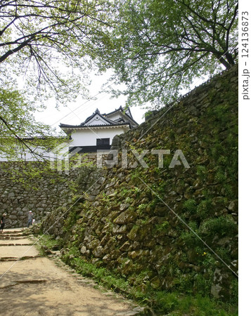 彦根城の西の丸側(滋賀県彦根市) 彦根城の西の丸側(滋賀県彦根市) 124136873