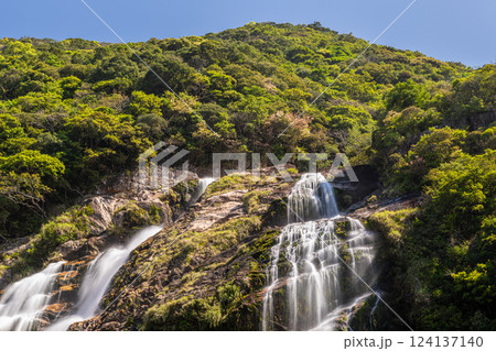 日本の滝百選大川の滝 屋久島国立公園(春 日本の滝百選大川の滝 屋久島国立公園(春 124137140