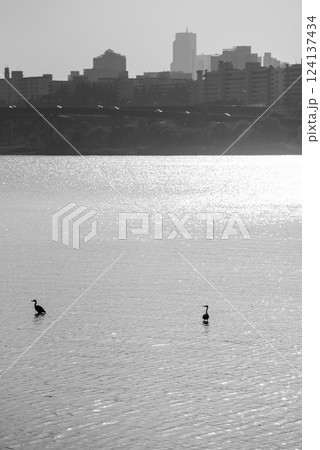 View of Han river Hangang and urban cityscape of Seoul, capital of South Korea View of Han river Hangang and urban cityscape of Seoul, capital of South Korea 124137434