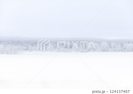 White winter landscape in prairies with field and trees in snow. White winter landscape in prairies with field and trees in snow. 124137487