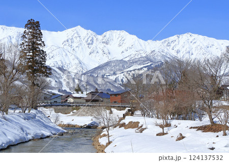 3月早春の大出公園と北アルプス　白馬村 124137532