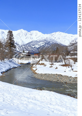 3月早春の大出公園と北アルプス　白馬村 124137534