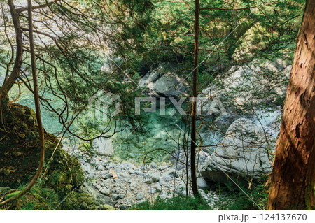 ＜長野＞阿寺渓谷  -赤彦吊り橋- 124137670