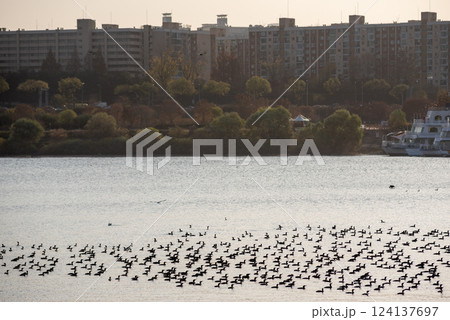 View of Han river Hangang and urban cityscape of Seoul, capital of South Korea View of Han river Hangang and urban cityscape of Seoul, capital of South Korea 124137697