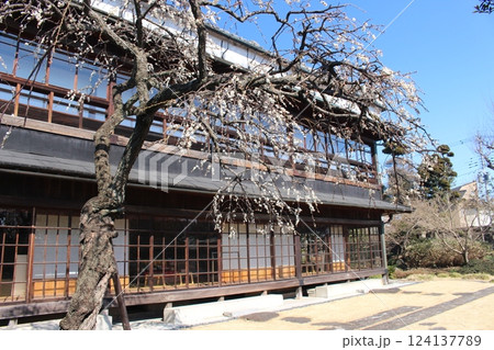 岡部記念館 金鈴荘 岡部記念館 金鈴荘 124137789