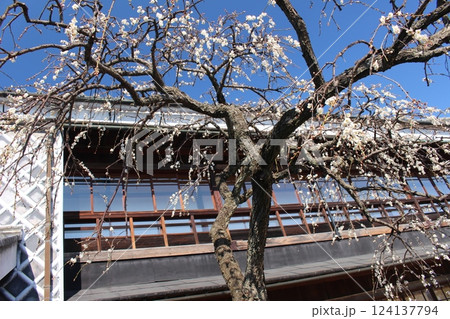 岡部記念館 金鈴荘 岡部記念館 金鈴荘 124137794