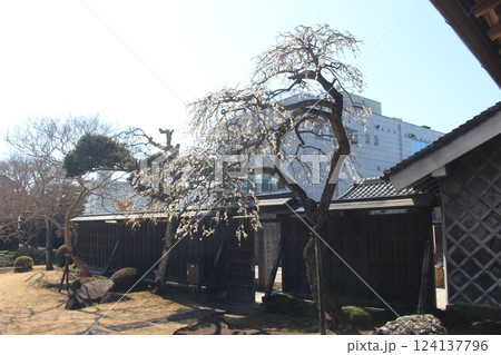 岡部記念館　金鈴荘 124137796