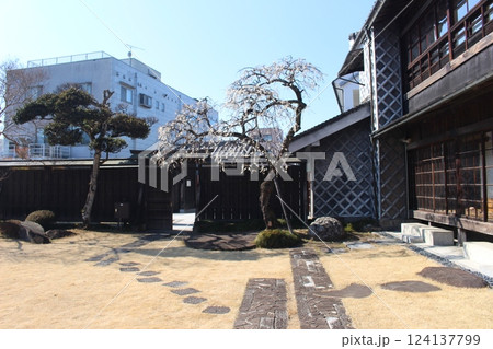 岡部記念館　金鈴荘 124137799