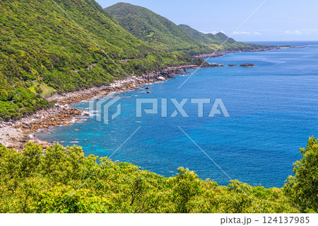 新緑が映える森と海　世界自然遺産屋久島 124137985