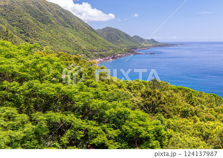 新緑が映える森と海　世界自然遺産屋久島 124137987