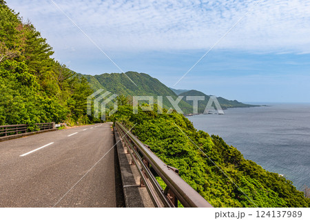 新緑が映える西部林道地域 世界自然遺産屋久島 新緑が映える西部林道地域 世界自然遺産屋久島 124137989