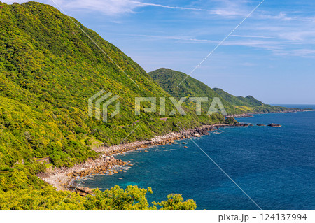 新緑が映える西部林道地域 世界自然遺産屋久島 新緑が映える西部林道地域 世界自然遺産屋久島 124137994