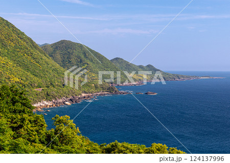 新緑が映える森と海　世界自然遺産屋久島 124137996