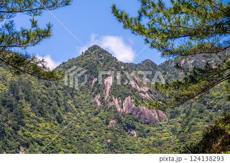 新緑若葉　急峻な山　世界自然遺産屋久島(春 124138293