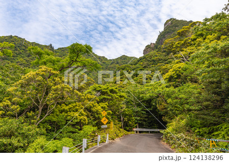 新緑 神が宿る山と森 世界自然遺産屋久島 新緑 神が宿る山と森 世界自然遺産屋久島 124138296