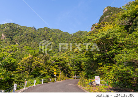 新緑 神が宿る山と森 世界自然遺産屋久島 新緑 神が宿る山と森 世界自然遺産屋久島 124138300