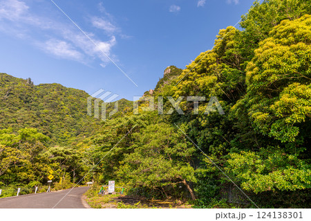 新緑　神が宿る山と森　世界自然遺産屋久島 124138301