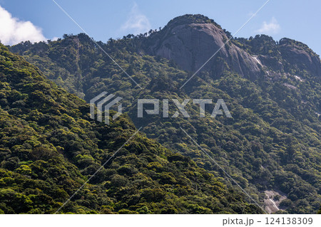 新緑若葉　急峻な山　世界自然遺産屋久島(春 124138309