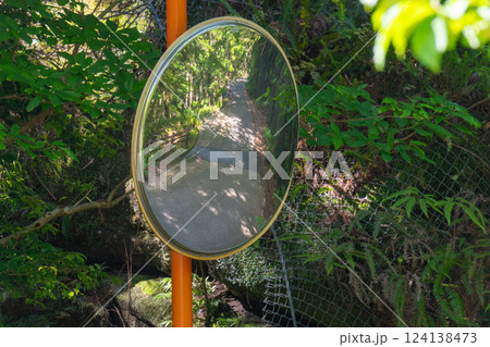 カーブミラーに映る緑の回廊 世界自然遺産屋久島(春 カーブミラーに映る緑の回廊 世界自然遺産屋久島(春 124138473
