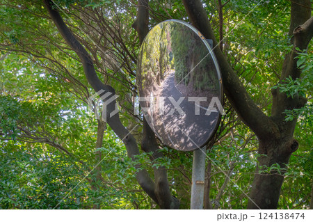 カーブミラーに映る緑の回廊　世界自然遺産屋久島(春 124138474