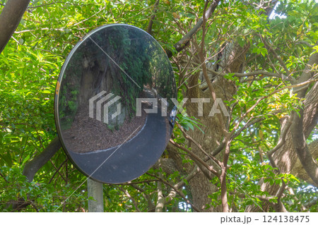 カーブミラーに映る緑の回廊 世界自然遺産屋久島(春 カーブミラーに映る緑の回廊 世界自然遺産屋久島(春 124138475