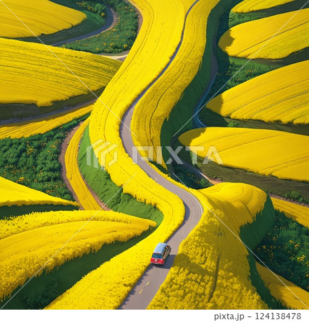 春の訪れを告げる菜の花畑の風景 124138478