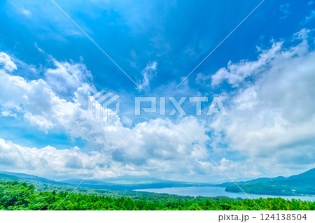 夏空と緑の山麓・山梨県　山中湖 124138504