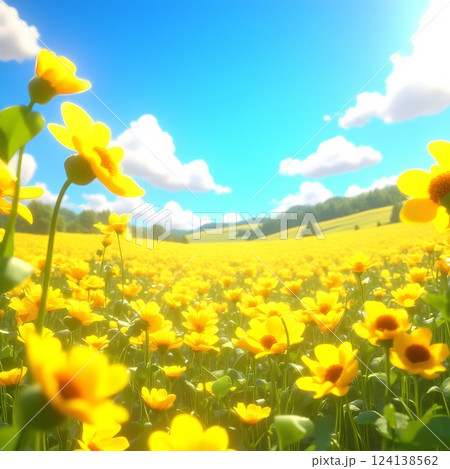一面に広がる菜の花と青空のコントラスト 124138562