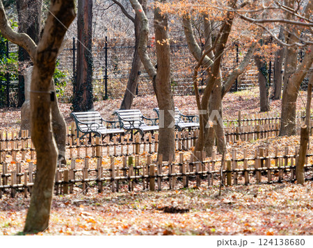 冬の公園の誰もいないベンチと落ち葉 124138680