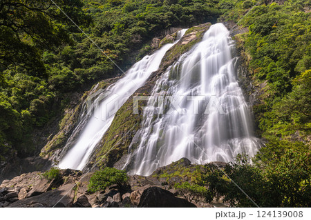 大川の滝　優雅　屋久島国立公園(春 124139008