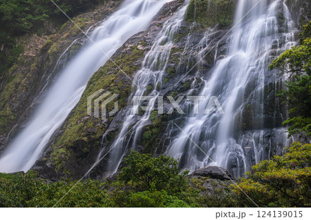 大川の滝　優雅　屋久島国立公園(春 124139015