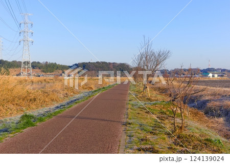 千葉県八千代市新川サイクリングロード沿線の風景2025年3月 千葉県八千代市新川サイクリングロード沿線の風景2025年3月 124139024