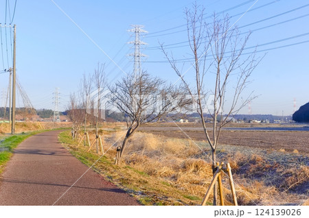 千葉県八千代市新川サイクリングロード沿線の風景2025年3月 千葉県八千代市新川サイクリングロード沿線の風景2025年3月 124139026
