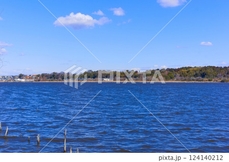 千葉県我孫子市手賀沼の風景2025年3月 124140212