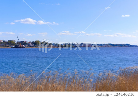 千葉県我孫子市手賀沼の風景2025年3月 千葉県我孫子市手賀沼の風景2025年3月 124140216